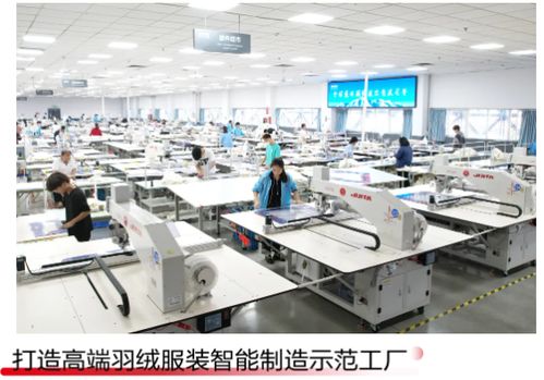 穿 爾濱 品牌逛爾濱 波司登 哈爾濱 產(chǎn)業(yè)基地啟動(dòng)