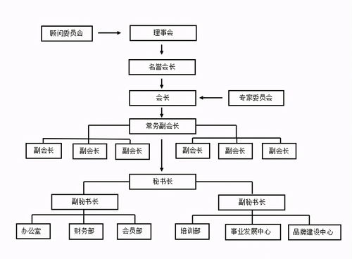 嗶哩嗶哩專欄在企業(yè)咨詢領域的應用探索