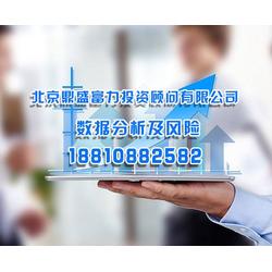 北京鼎盛投資顧問公司企業項目數據分析與風險控制策略報告